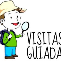 Visita guiada a Santiago de Compostela
