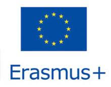 Información Erasmus – Prueba de nivel 2019 / 2020