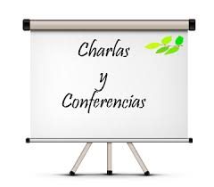 Conferencia de D. Miguel Ángel Cadenas Sobreira, Presidente TSXG (2009-2019)